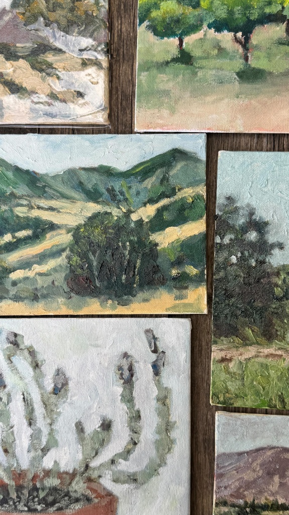 Plein Air Studio Assortment