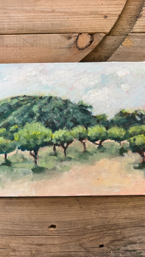 Golden Foothill Oaks